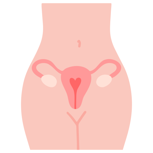 General Gynecology